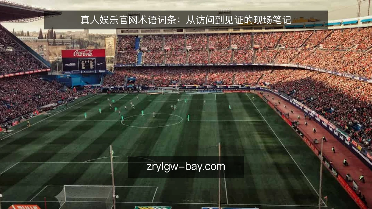 真人娱乐官网术语词条：从访问到见证的现场笔记