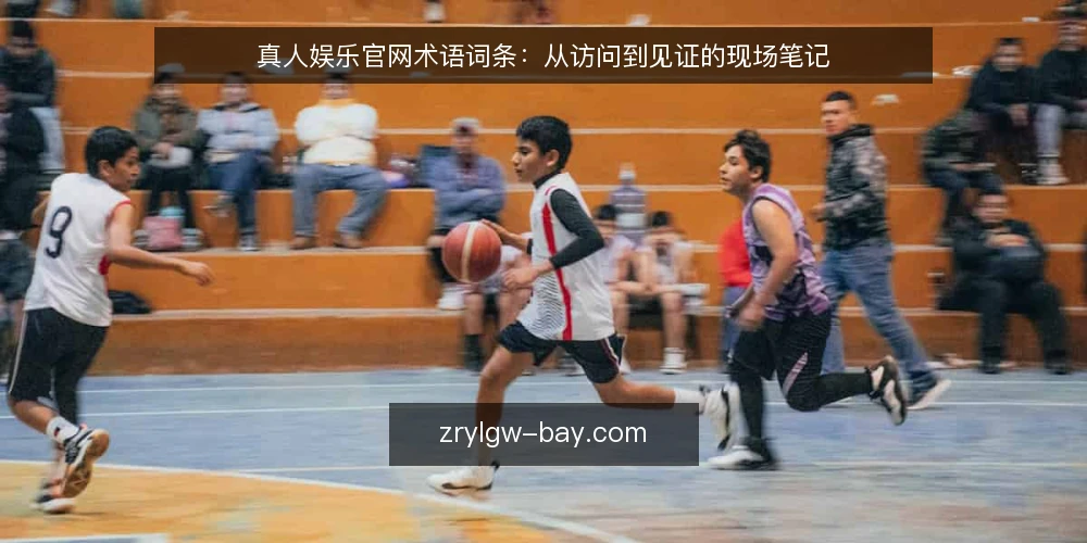 真人娱乐官网术语词条:从访问到见证的现场笔记 — 信号观察:真人娱乐官网的术语线索 配图