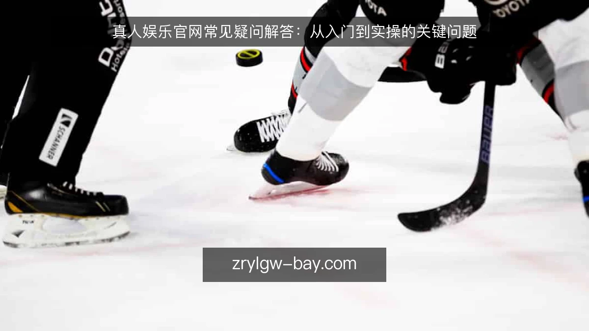 真人娱乐官网常见疑问解答:从入门到实操的关键问题