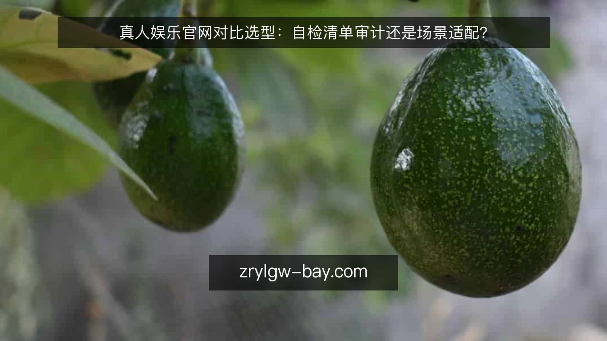 真人娱乐官网对比选型：自检清单审计还是场景适配？