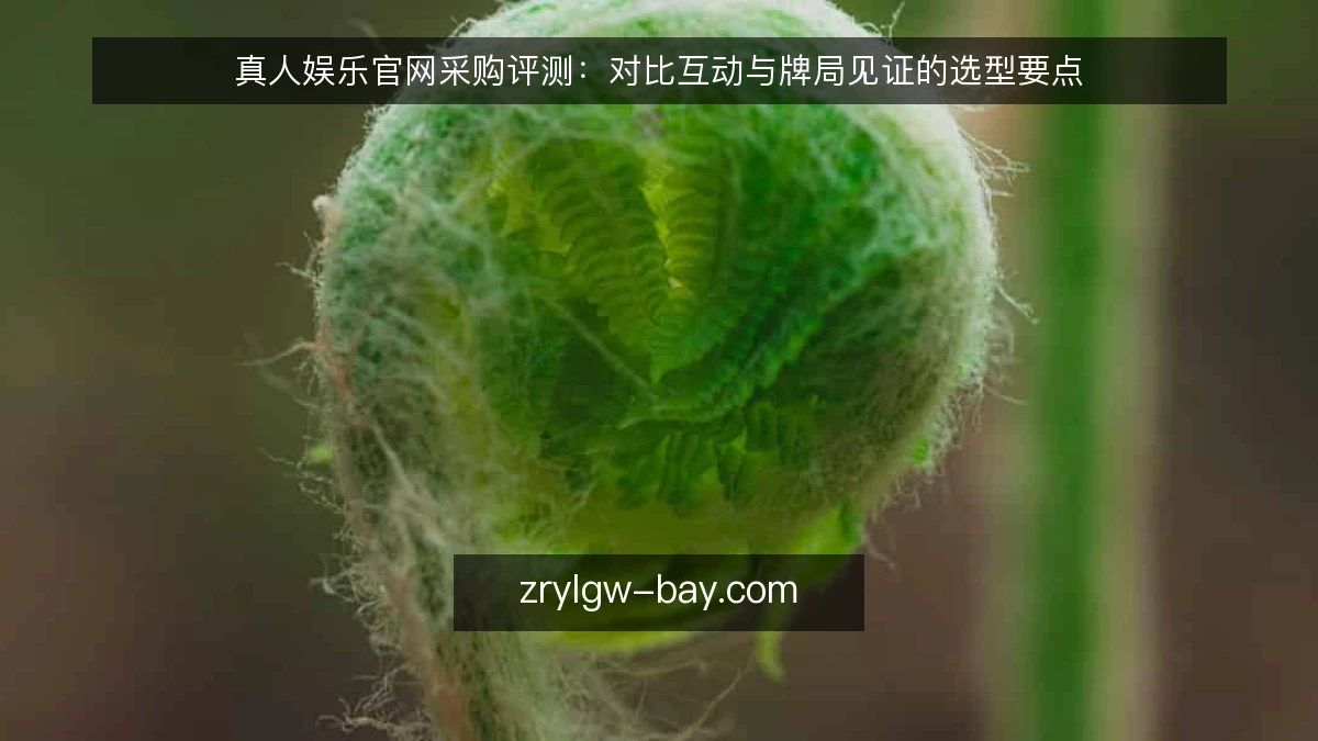 真人娱乐官网采购评测：对比互动与牌局见证的选型要点