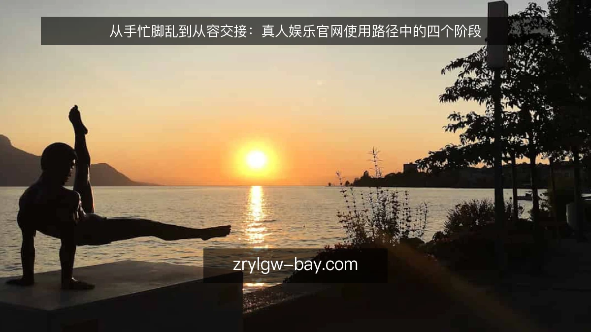 从手忙脚乱到从容交接:真人娱乐官网使用路径中的四个阶段